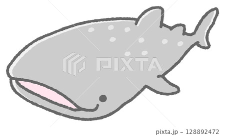 ジンベイザメ ジンベイザメ 128892472