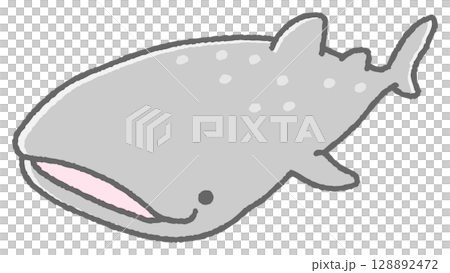 ジンベイザメ ジンベイザメ 128892472