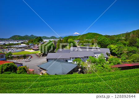 中部地方・韮山反射炉・お茶畑から眺める反射炉と富士山のイメージ・静岡県伊豆の国市(1) 中部地方・韮山反射炉・お茶畑から眺める反射炉と富士山のイメージ・静岡県伊豆の国市(1) 128892644