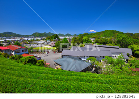 中部地方・韮山反射炉・お茶畑から眺める反射炉と富士山のイメージ・静岡県伊豆の国市(2) 128892645
