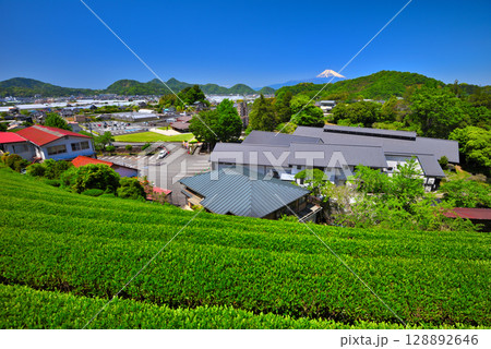 中部地方・韮山反射炉・お茶畑から眺める反射炉と富士山のイメージ・静岡県伊豆の国市(3) 128892646