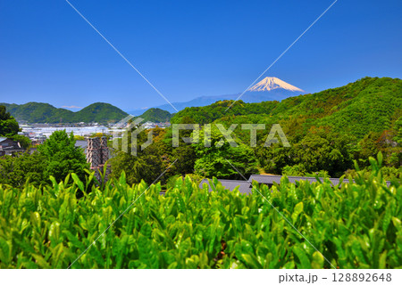 中部地方・韮山反射炉・お茶畑から眺める反射炉と富士山のイメージ・静岡県伊豆の国市(5) 中部地方・韮山反射炉・お茶畑から眺める反射炉と富士山のイメージ・静岡県伊豆の国市(5) 128892648