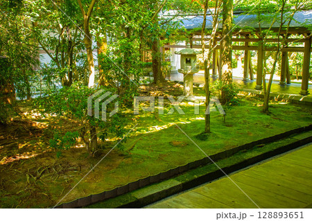 【京都風景】龍安寺　謎多き七五三の石庭 128893651