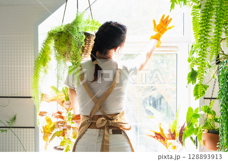 Woman in rubber gloves and apron manually washes window of house in bathroom with rag cleaner and mop inside interior with home plants. Restoring order and cleanliness, cleaning servise Woman in rubber gloves and apron manually washes window of house in bathroom with rag cleaner and mop inside interior with home plants. Restoring order and cleanliness, cleaning servise 128893913