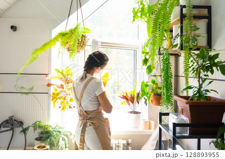 Woman in rubber gloves and apron manually washes window of house in bathroom with rag cleaner and mop inside interior with home plants. Restoring order and cleanliness, cleaning servise Woman in rubber gloves and apron manually washes window of house in bathroom with rag cleaner and mop inside interior with home plants. Restoring order and cleanliness, cleaning servise 128893955