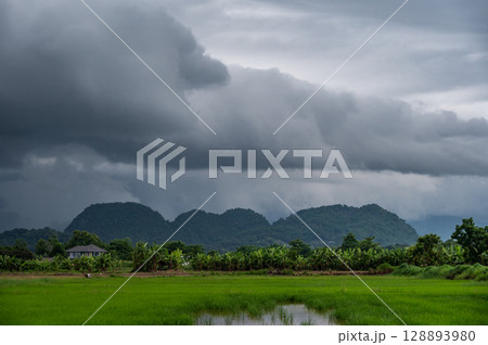 An arcus cloud appear on the sky. Arcus clouds are spectacular low-level, long and thin clouds associated with powerful thunderstorms. An arcus cloud appear on the sky. Arcus clouds are spectacular low-level, long and thin clouds associated with powerful thunderstorms. 128893980