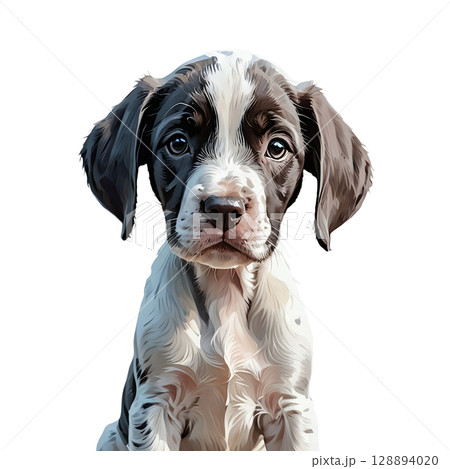 きょとんとした表情のイングリッシュ・ポインター子犬の切り抜きイラスト 128894020