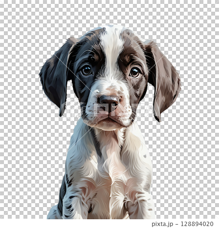 Cutout illustration of an English pointer puppy with a puzzled expression 128894020
