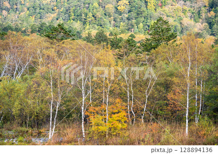 「長野県」秋の上高地の風景 128894136