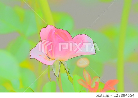 フォトイラストばら フォトイラストばら 128894554