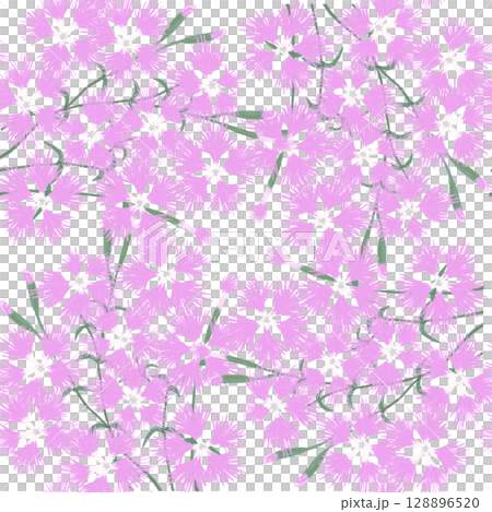 繊細でかわいいカワラナデシコのシームレスパターン 128896520