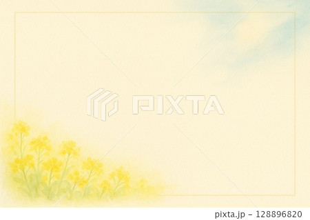 ポストカード　菜の花 128896820