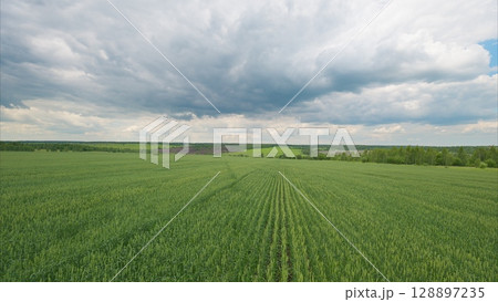 Lush, vibrant green fields stretching out beneath a dramatic and cloudy sky that captivates Lush, vibrant green fields stretching out beneath a dramatic and cloudy sky that captivates 128897235