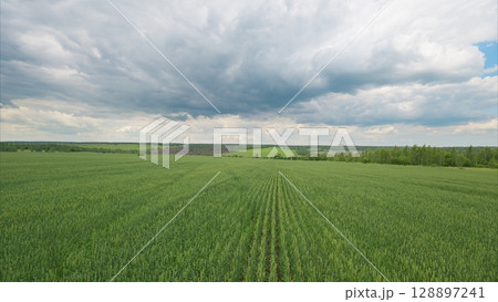Expansive Green Fields Spreading Beneath a Dramatic and Cloudy Sky Full of Wonder 128897241