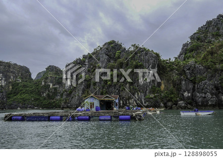 Vietnam, Floating houses, Vung Vieng fishing village, Ha Long Bay, Bai Tu Long area. Vietnam, Floating houses, Vung Vieng fishing village, Ha Long Bay, Bai Tu Long area. 128898055