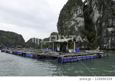 Vietnam, Floating houses, Vung Vieng fishing village, Ha Long Bay, Bai Tu Long area. Vietnam, Floating houses, Vung Vieng fishing village, Ha Long Bay, Bai Tu Long area. 128898104