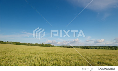 An Expansive and Sprawling Green Field Extends Out Under a Clear and Bright Blue Sky Above An Expansive and Sprawling Green Field Extends Out Under a Clear and Bright Blue Sky Above 128898868