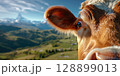 Cow enjoying swiss mountain landscape with matterhorn in background 128899013