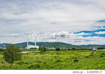 夏の淀川河川敷風景　枚方市 128899517