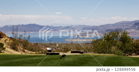 Scenic View of Lake Mead From Hemenway Park with on Bighorn Sheep grazing 128899556