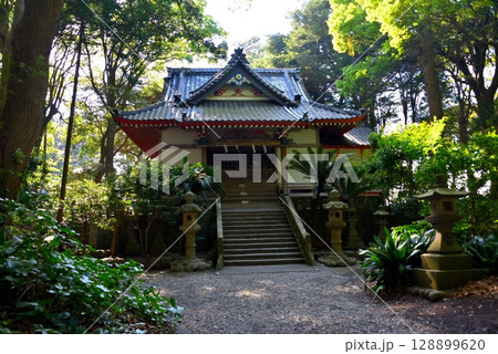 中部地方・伊豆半島・御浜岬・静かで厳かな雰囲気の境内に鎮座する諸口神社・静岡県沼津市戸田(2) 128899620
