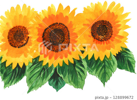 水彩で描いた向日葵25726pix7 128899672