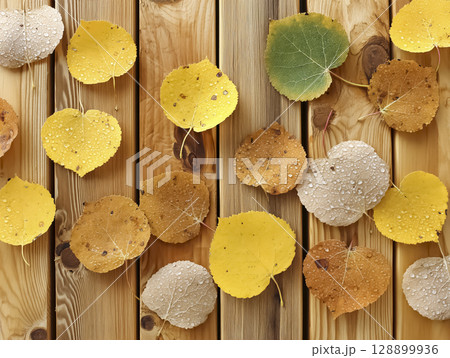 木の板の上に置かれた落ち葉のイメージ素材 128899936