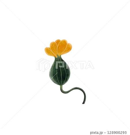 A watercolor illustration of a bright yellow, partially opened watermelon flower bud on a white background. This delicate and vibrant artwork highlights the intricate details and freshness, perfect 128900293