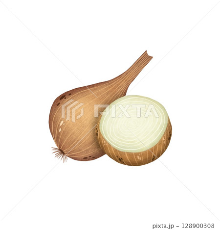 Watercolor illustration of a whole yellow onion and a halved onion on a white background. Rustic and versatile, perfect for culinary designs, cooking illustrations, and farm-to-table themes. Hand Watercolor illustration of a whole yellow onion and a halved onion on a white background. Rustic and versatile, perfect for culinary designs, cooking illustrations, and farm-to-table themes. Hand 128900308