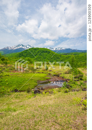 初夏の偲ぶの池と乗鞍岳【一の瀬園地】 初夏の偲ぶの池と乗鞍岳【一の瀬園地】 128900309