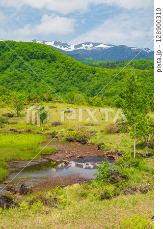初夏の偲ぶの池と乗鞍岳【一の瀬園地】 128900310