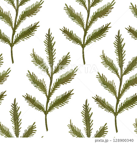 Seamless watercolor pattern of green poppy leaves on a white background. Natural and refreshing, perfect for botanical designs, spring themes, and nature-inspired projects. Hand-painted and detailed Seamless watercolor pattern of green poppy leaves on a white background. Natural and refreshing, perfect for botanical designs, spring themes, and nature-inspired projects. Hand-painted and detailed 128900340