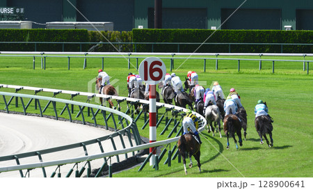 真夏の中京競馬 真夏の中京競馬 128900641