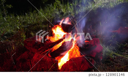 Blazing campfire burning bright in dark forest night Blazing campfire burning bright in dark forest night 128901146