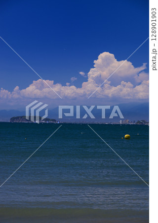 夏の湘南・葉山森戸海岸 128901903