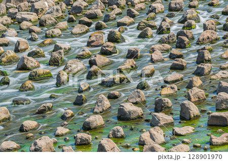 天野川　淀川合流点　大阪府枚方市 128901970