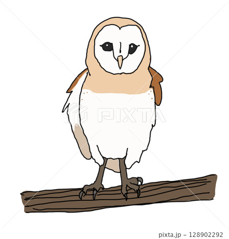 木の上のメンフクロウ 128902292