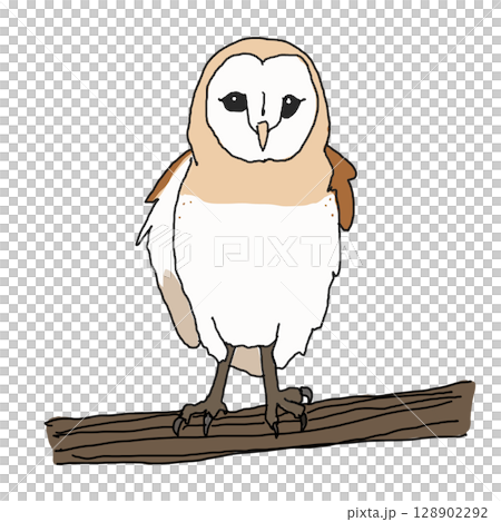 樹上的穀倉貓頭鷹 樹上的穀倉貓頭鷹 128902292