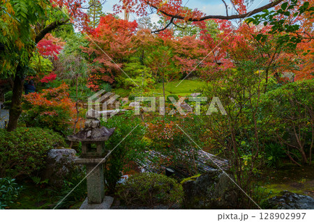 妙心寺退蔵院 余香苑 妙心寺退蔵院 余香苑 128902997