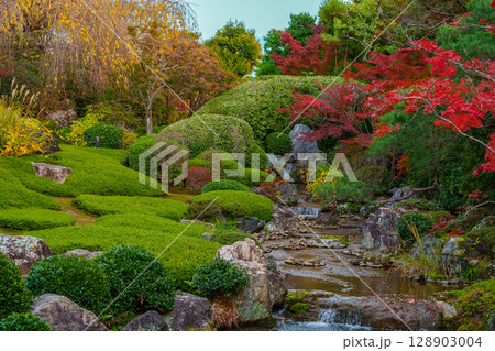 妙心寺退蔵院 余香苑 妙心寺退蔵院 余香苑 128903004