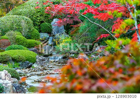 妙心寺退蔵院 余香苑 妙心寺退蔵院 余香苑 128903010