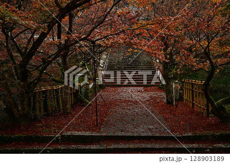 円通寺の紅葉 円通寺の紅葉 128903189