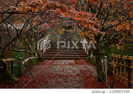 円通寺の紅葉 円通寺の紅葉 128903190