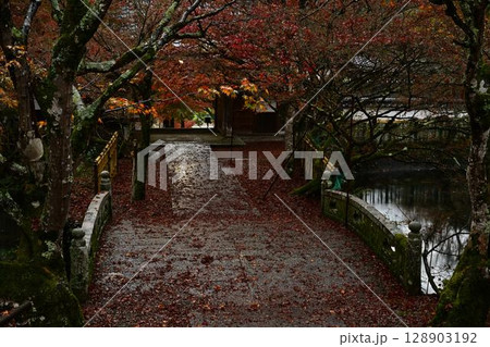 円通寺の紅葉 円通寺の紅葉 128903192