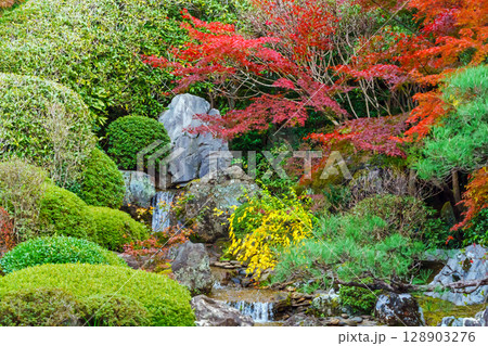 妙心寺退蔵院 余香苑 妙心寺退蔵院 余香苑 128903276