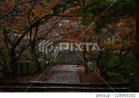 円通寺の紅葉 円通寺の紅葉 128903282