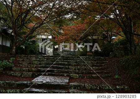 円通寺の紅葉 円通寺の紅葉 128903285