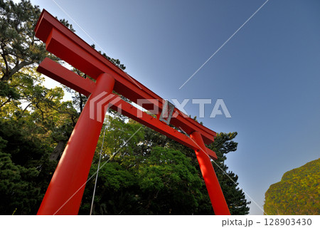中部地方・伊豆半島・御浜岬・西伊豆のパワースポット、諸口神社の海岸の鳥居・静岡県沼津市戸田(2) 128903430