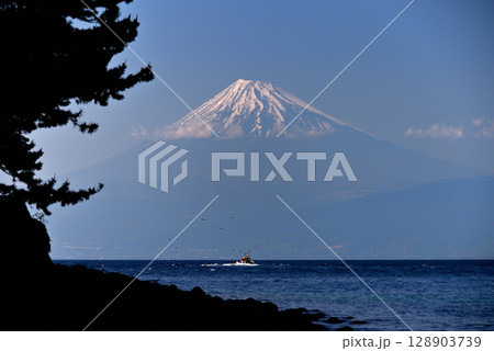 中部地方・伊豆半島・御浜岬・諸口神社の鳥居から眺める富士山と戸田港へ戻る漁船・静岡県沼津市戸田(1) 中部地方・伊豆半島・御浜岬・諸口神社の鳥居から眺める富士山と戸田港へ戻る漁船・静岡県沼津市戸田(1) 128903739