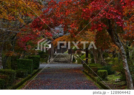 三寳寺の紅葉 三寳寺の紅葉 128904442